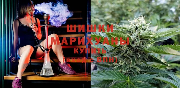 дурь Нягань