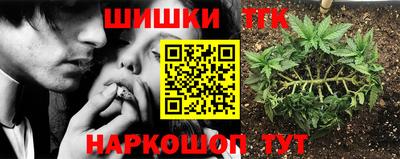 хмурый Краснодар