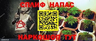 эйфоретик Краснознаменск